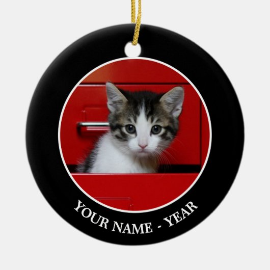 子ネコのかいま見ること セラミックオーナメント (正面)