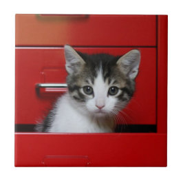 子ネコのかいま見ること タイル