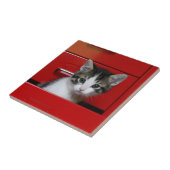 子ネコのかいま見ること タイル (側面)