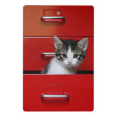 子ネコのかいま見ること ミニクリップボード (裏面)