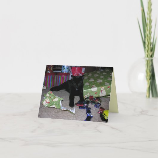 子ネコのクリスマス シーズンカード (正面)