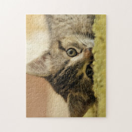 子ネコのジグソーパズル ジグソーパズル