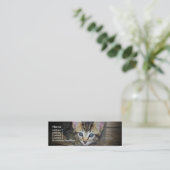 子ネコのプロフィールカード スキニー名刺 (スタンド正面)