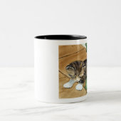 子ネコのマグ ツートーンマグカップ (中央)