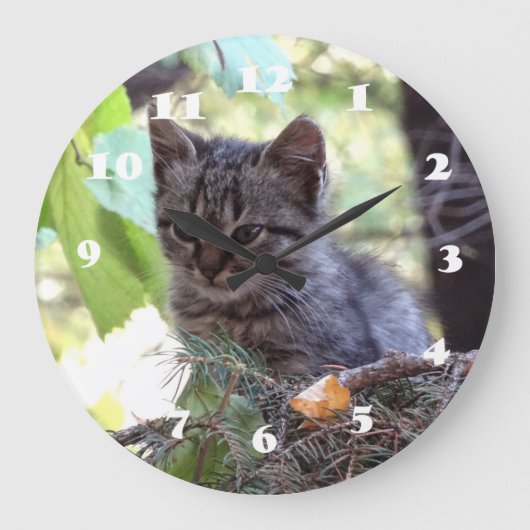 子ネコの写真のベビー猫の柱時計 ラージ壁時計 (正面)