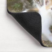 子ネコの友人のマウスパッド マウスパッド (コーナー)