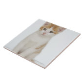 子ネコの撃たれるスタジオ タイル (側面)