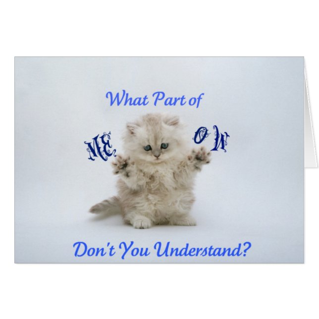 子ネコの猫の鳴き声の態度 (正面横)