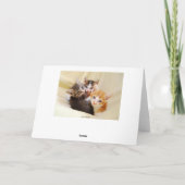 子ネコの祖母のハッピーバースデーのトリオ カード (裏面)