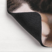 子ネコの足 マウスパッド (コーナー)