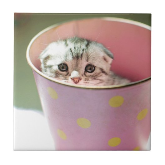 子ネコの隠れること タイル (正面)