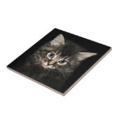 子ネコの顔 タイル (側面)