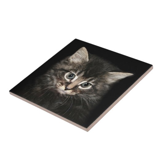 子ネコの顔 タイル (側面)