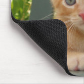 子ネコのDaxのマウスパッド マウスパッド (コーナー)