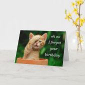 子ネコは誕生日を忘れました カード (黄色い花)