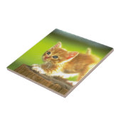 子ネコを急襲するために用意して下さい タイル (側面)