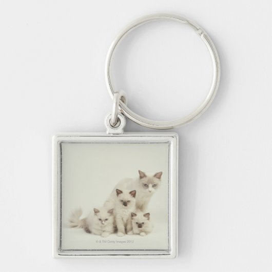 子ネコを持つRagdoll猫の女性 キーホルダー (正面)