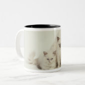 子ネコを持つRagdoll猫の女性 ツートーンマグカップ (正面左)