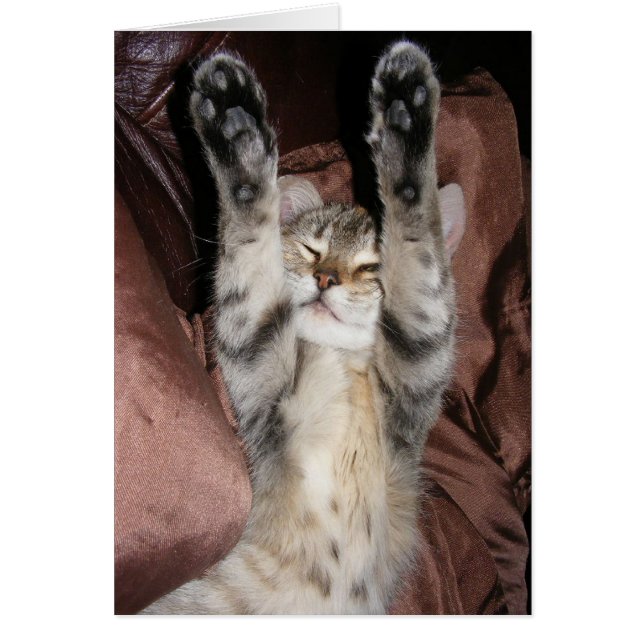 子ネコ力カード (正面)