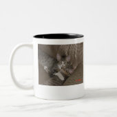 子ネコ ツートーンマグカップ (左)