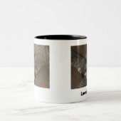 子ネコ ツートーンマグカップ (中央)