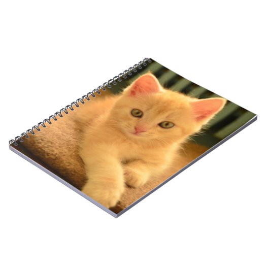 子ネコ ノートブック (左側)