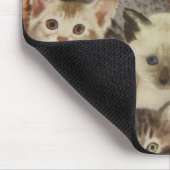 子ネコ マウスパッド (コーナー)