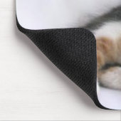 子ネコ マウスパッド (コーナー)