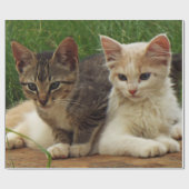 子ネコ ラッピングペーパー (フラット)