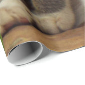 子ネコ ラッピングペーパー (ロールコーナー)