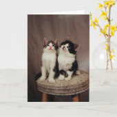 子ネコ、誠実な友人カード カード (黄色い花)