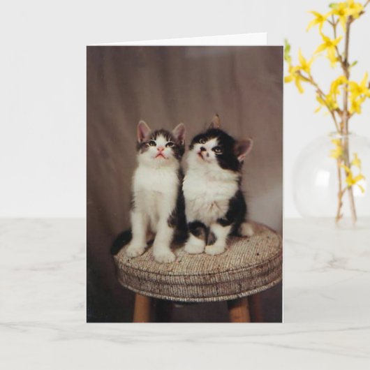 子ネコ、誠実な友人カード カード (黄色い花)