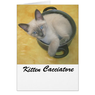 子ネコCacciatore