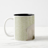 子ヒツジの永続的な屋内および花模様の壁紙 ツートーンマグカップ (左)