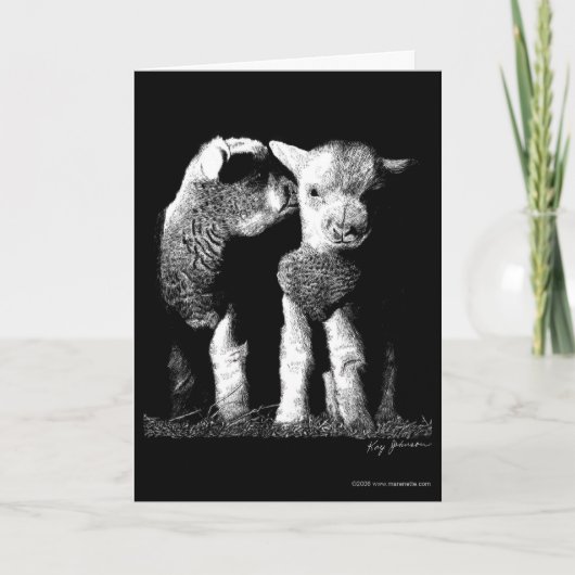 子ヒツジ カード (正面)