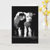 子ヒツジ カード (黄色い花)