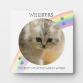 子モダンども記念撮影ペット フォトプラーク (正面)