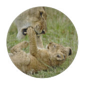 子ライオンの遊び カッティングボード (正面)
