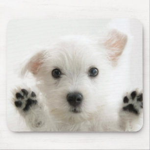子供かわいい犬のマウスパッド マウスパッド