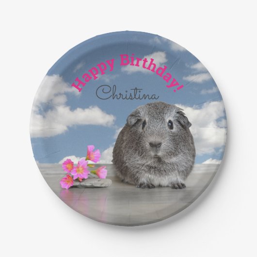 子供たちのハッピーバースデーパーティーギニアピグスカイ ペーパープレート (正面)