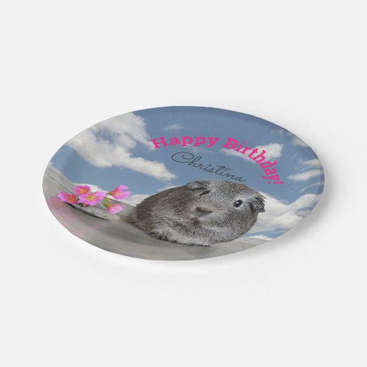 子供たちのハッピーバースデーパーティーギニアピグスカイ ペーパープレート (アングル)