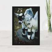 子供たちは驚いてあなたが**75**カードを回している カード (正面)