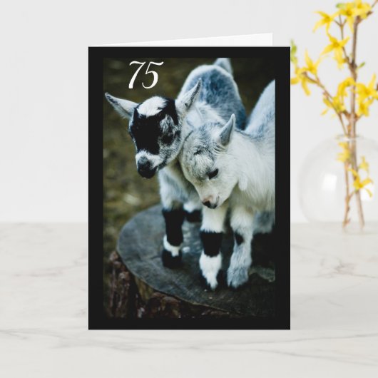 子供たちは驚いてあなたが**75**カードを回している カード (黄色い花)