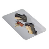 子供のおもちゃは：ハリネズミ、ライオンと鳩、蘇 マグネット (右側)