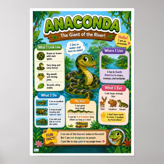 子供のためのアナコンダの面白い事実 ポスター (正面)