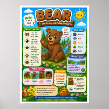 子供のためのクマの面白い事実