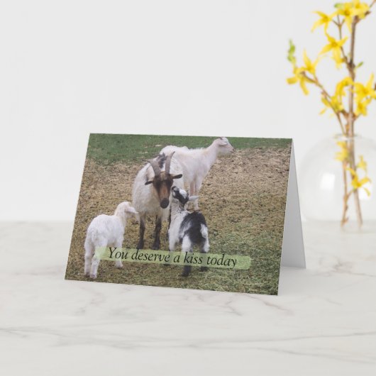 子供のキスをするなヤギ カード (黄色い花)