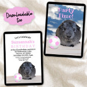 子供のパーティーピンク白サッカーボールギニアピグ 招待状