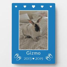 子供のペットうさぎロス | 青い写真メモリアル フォトプラーク