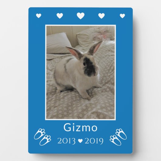子供のペットうさぎロス | 青い写真メモリアル フォトプラーク (正面)